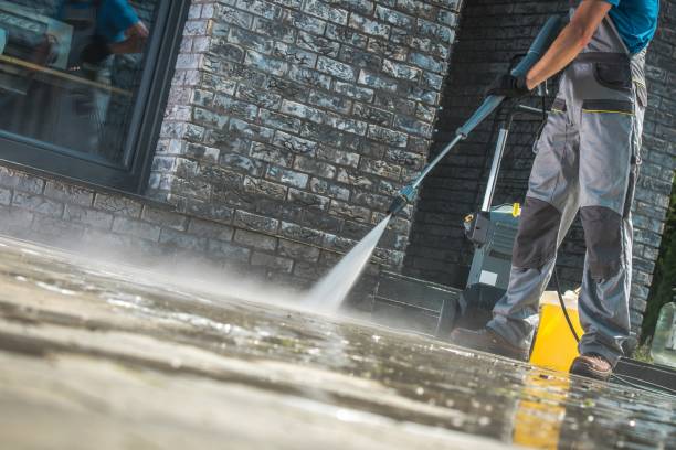 Best Gutter Cleaning  in Middleport, NY
